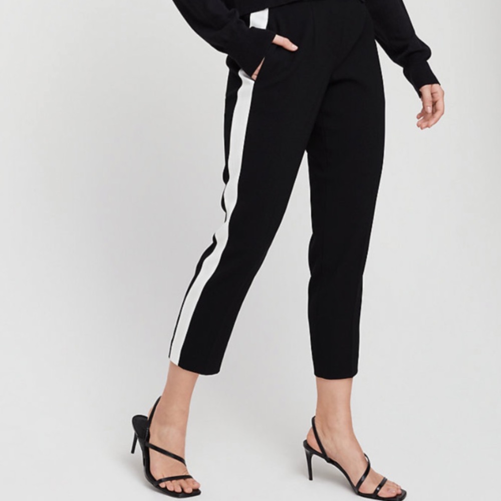 ✨ Aritzia Babaton Conan Pant Terado
